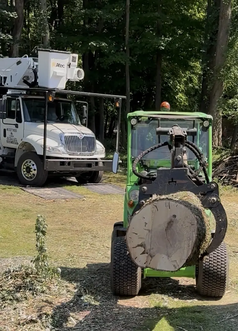 Branch Managers tree maintenance vehicles, one with a crane and one carrying a large log